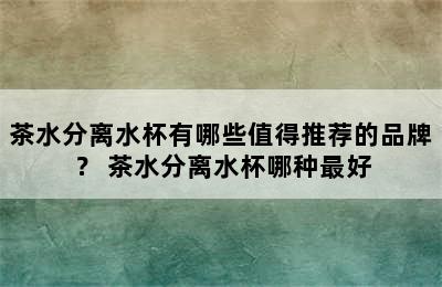 茶水分离水杯有哪些值得推荐的品牌？ 茶水分离水杯哪种最好